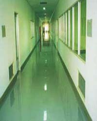 �h(hu��n)������ƺ����չʾ